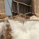Illustration for article titled What is the worst kind of power plant disaster? Hint: Its not nuclear.